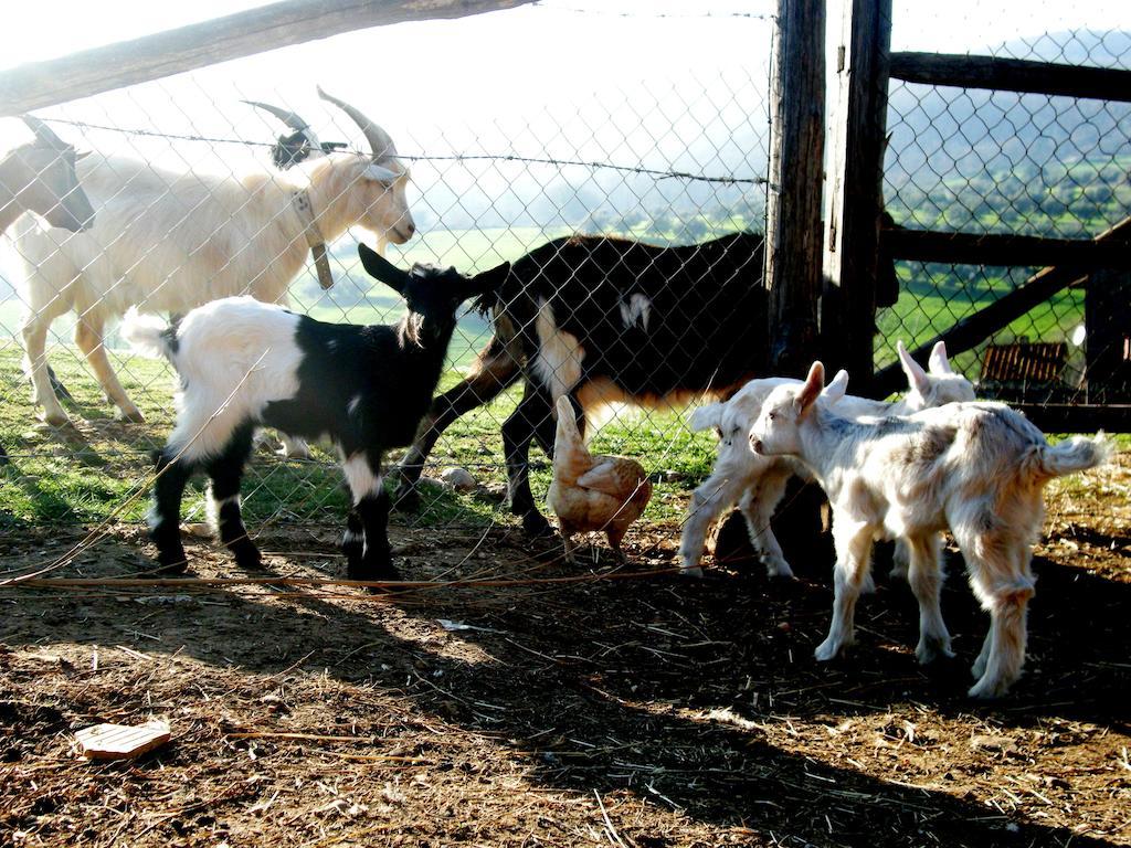 브라치아노 Agrihouse 빌라 외부 사진
