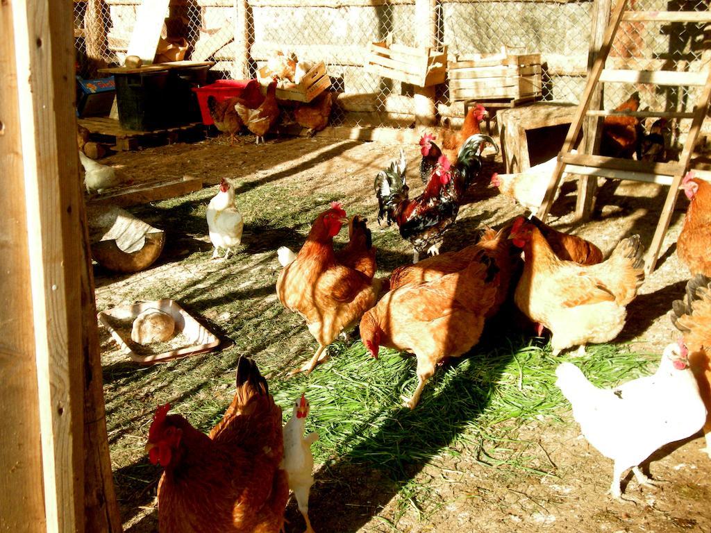 브라치아노 Agrihouse 빌라 외부 사진